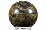 Polished Stromatolite (Greysonia) Sphere - Bolivia #355362-1